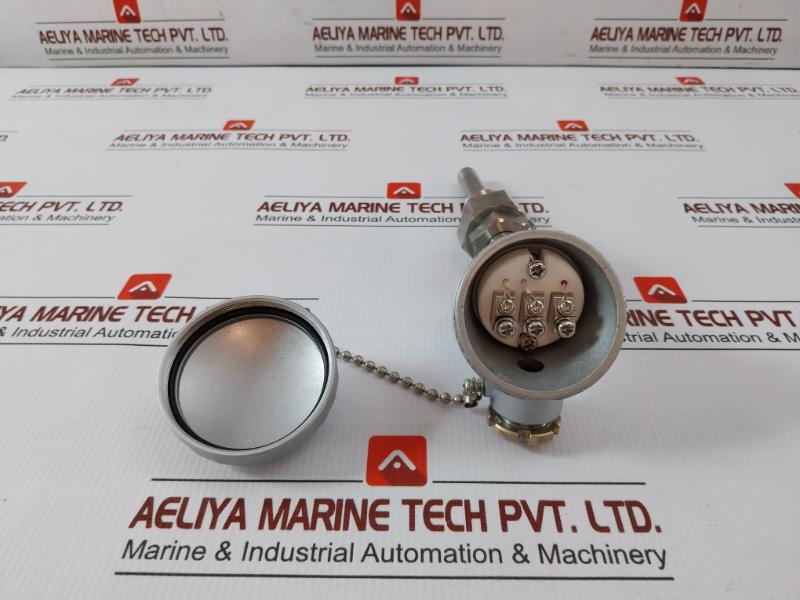 Temperature Sensor Pt100Ω Daeyoung