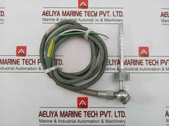 Temperature Sensor Tn 49/1/100 2-meter Length 100Mm
