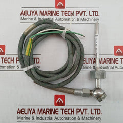 Temperature Sensor Tn 49/1/100 2-meter Length 100Mm