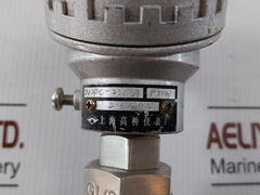Temperature Transmitter With Thermocouple W2Pc-230 A Shanghai Gaoqiao Instrument