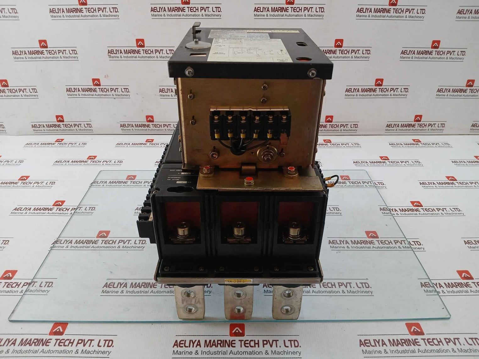 Terasaki Ame-6