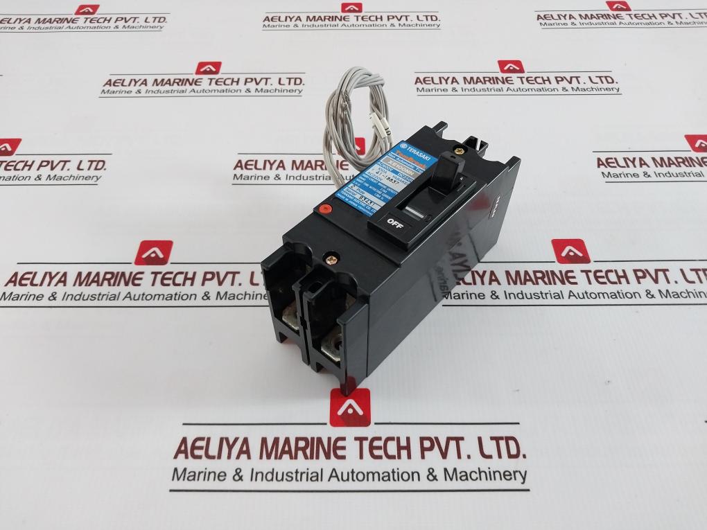 Terasaki Xe100Nn 2 Pole Tembreak Circuit Breaker 1T2-1-000-06P Ac600V Dc250V