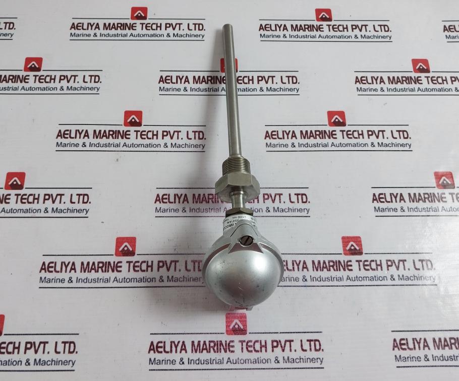 Termo Aparatura Topg21-b-200-g3/4”-a/4P Rtd Sensor