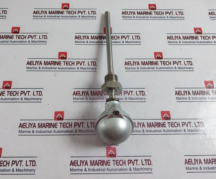 Termo Aparatura Topg21-b-200-g3/4”-a/4P Rtd Sensor