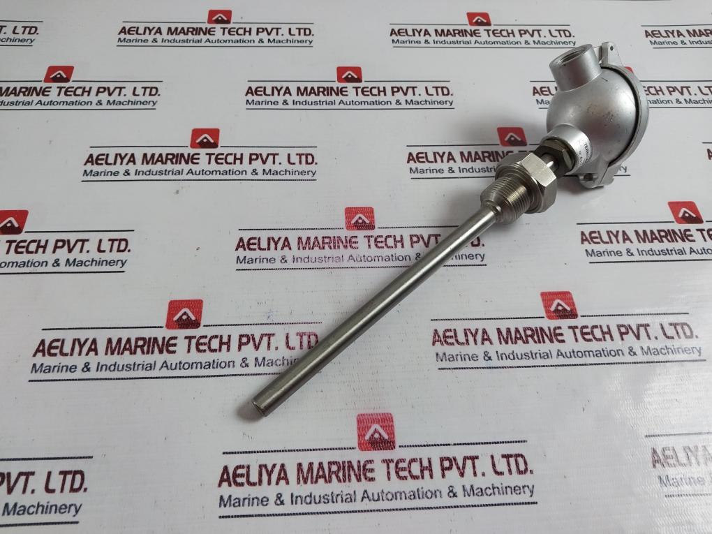 Termo Aparatura Topg21-b-200-g3/4”-a/4P Rtd Sensor