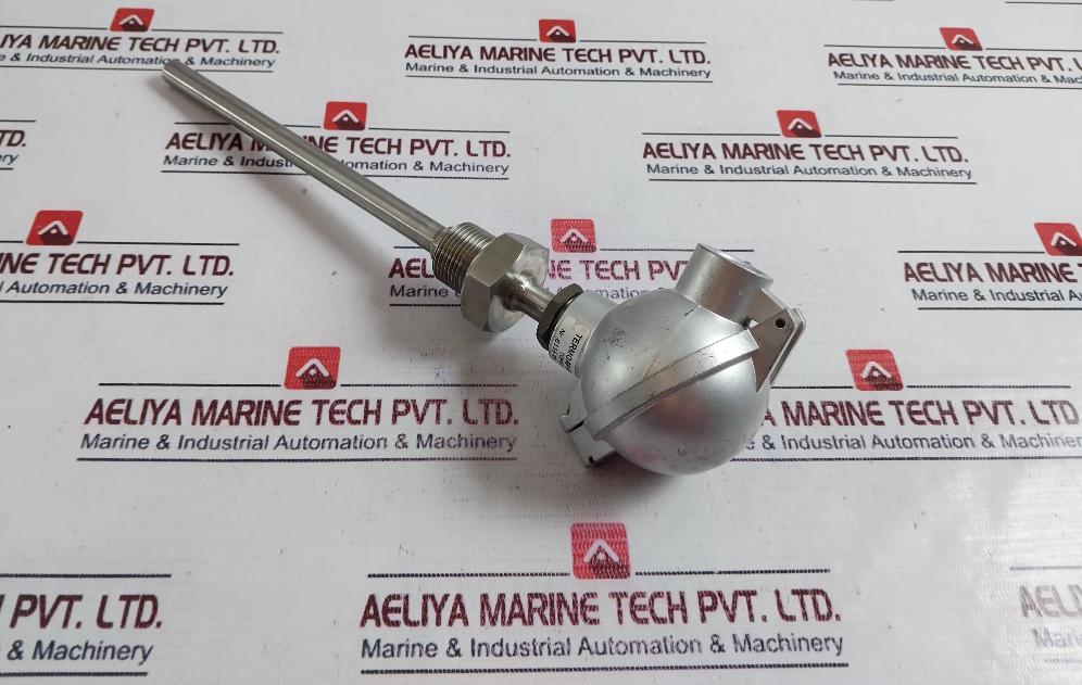 Termo Aparatura Topg21-b-200-g3/4”-a/4P Rtd Sensor