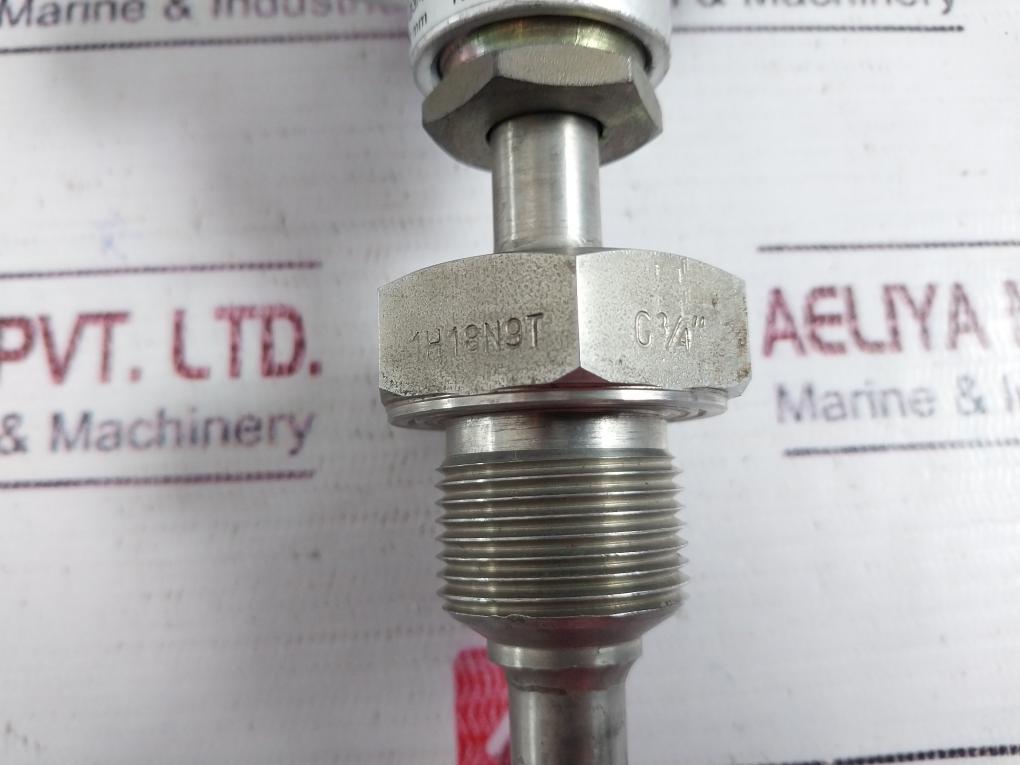 Termo Aparatura Topg21-b-200-g3/4”-a/4P Rtd Sensor