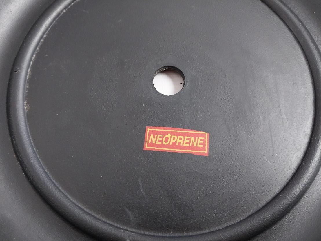 Teryair Air Side Diaphragm For Air Operated Pump