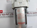 Teryair F19 Premium Air Line Filter 1 Mpa 150 Psi