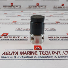 Tescom 307319 30 Psig Max.Outlet