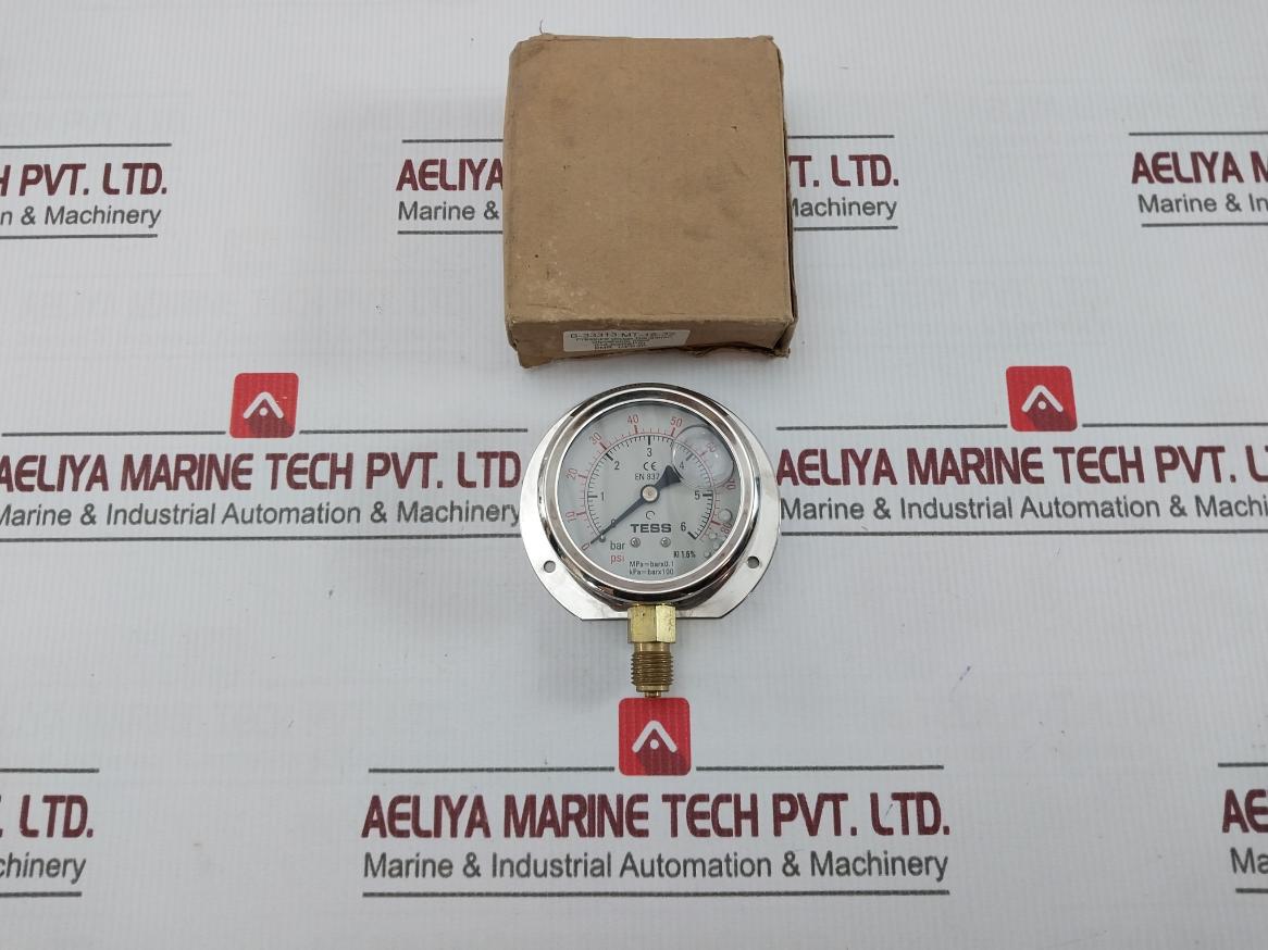 Tess En 837 Pressure Gauge 0–6 Bar / 0–80 Psi