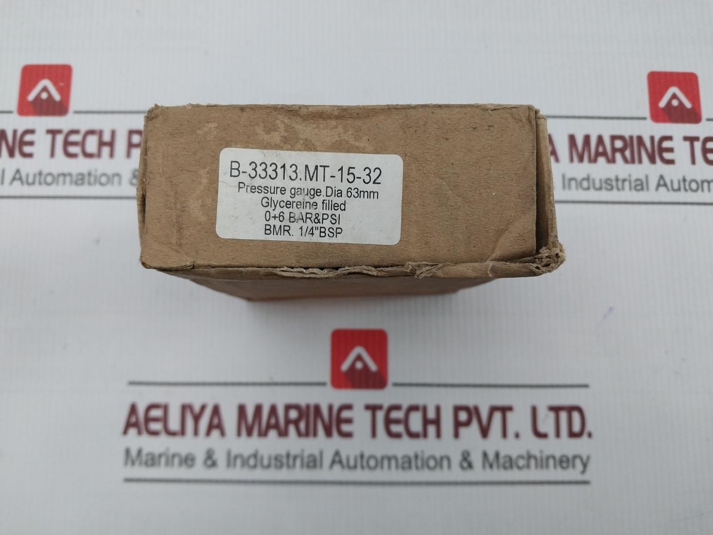 Tess En 837 Pressure Gauge 0–6 Bar / 0–80 Psi