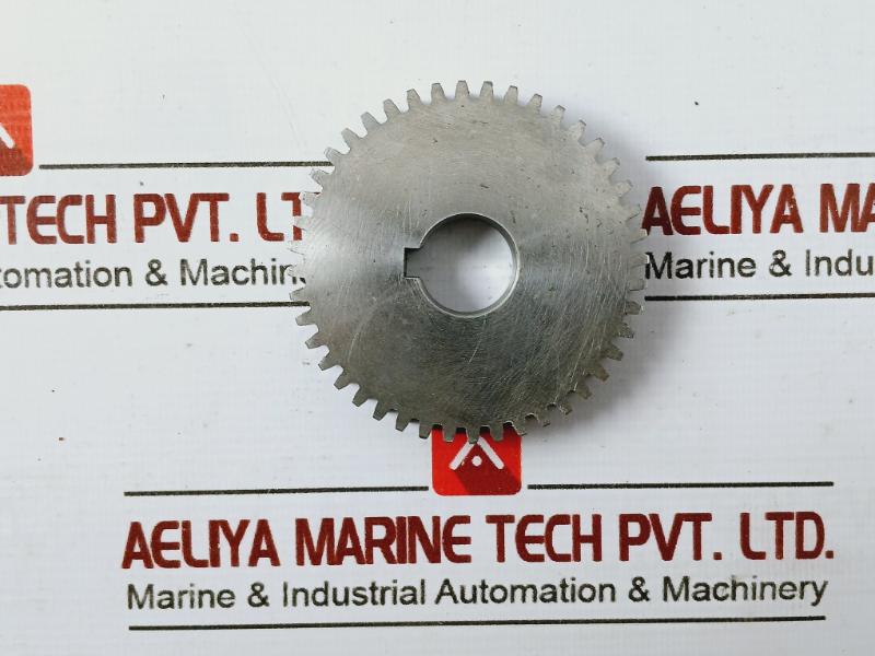 Tetra Pak 2727234-0000 Teeth Stainless Steel Spur Gear