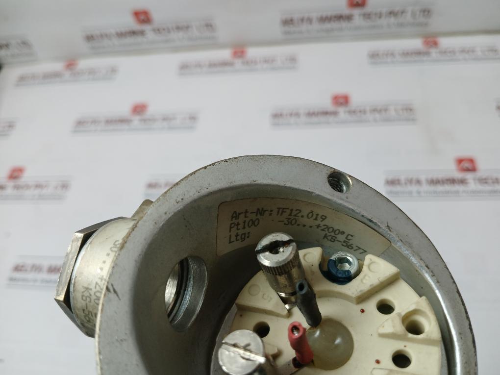 Tf12.019 Pt100 Temperature Sensor 200-mm Ks-5677