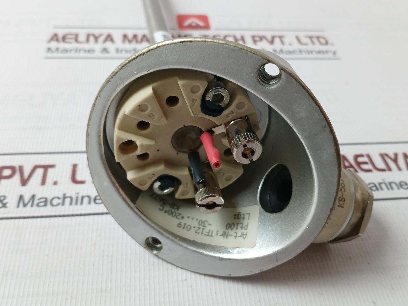 Tf12.019 Temperature Sensor Pt100 -30...+200 C, Ks-5677 200-mm