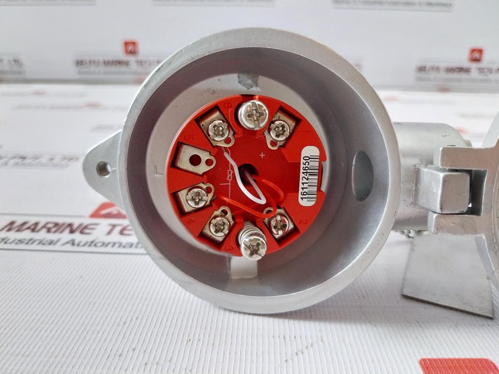 Thermo-est P-al-v-316L-130-s-3 Temperature Sensor 793101382 Pt100 130-mm T60 C