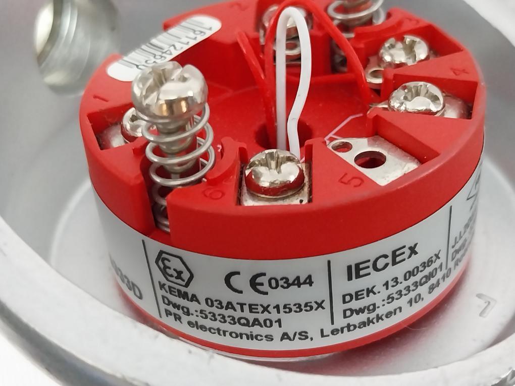 Thermo-est P-al-v-316L-130-s-3 Temperature Sensor 793101382 Pt100 130-mm T60 C