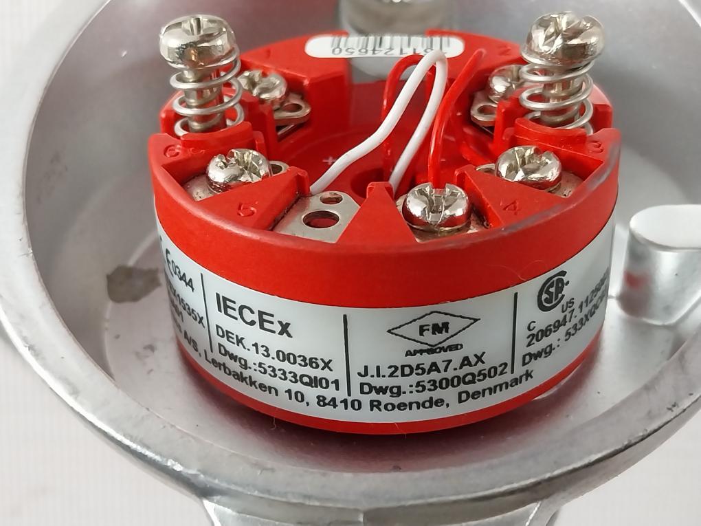 Thermo-est P-al-v-316L-130-s-3 Temperature Sensor 793101382 Pt100 130-mm T60 C