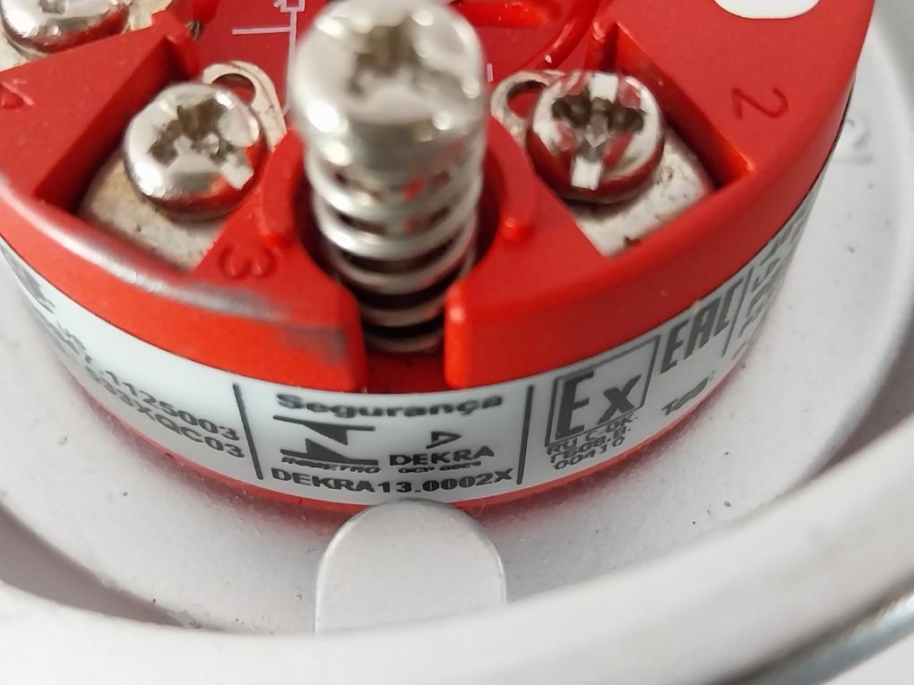 Thermo-est P-al-v-316L-130-s-3 Temperature Sensor 793101382 Pt100 130-mm T60 C