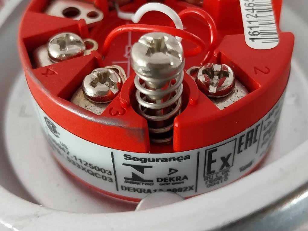 Thermo-est P-al-v-316L-130-s-3 Temperature Sensor 793101382 Pt100 130-mm T60 C