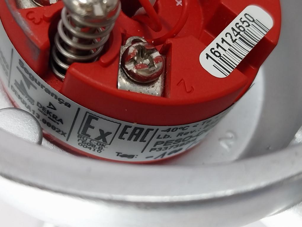 Thermo-est P-al-v-316L-130-s-3 Temperature Sensor 793101382 Pt100 130-mm T60 C