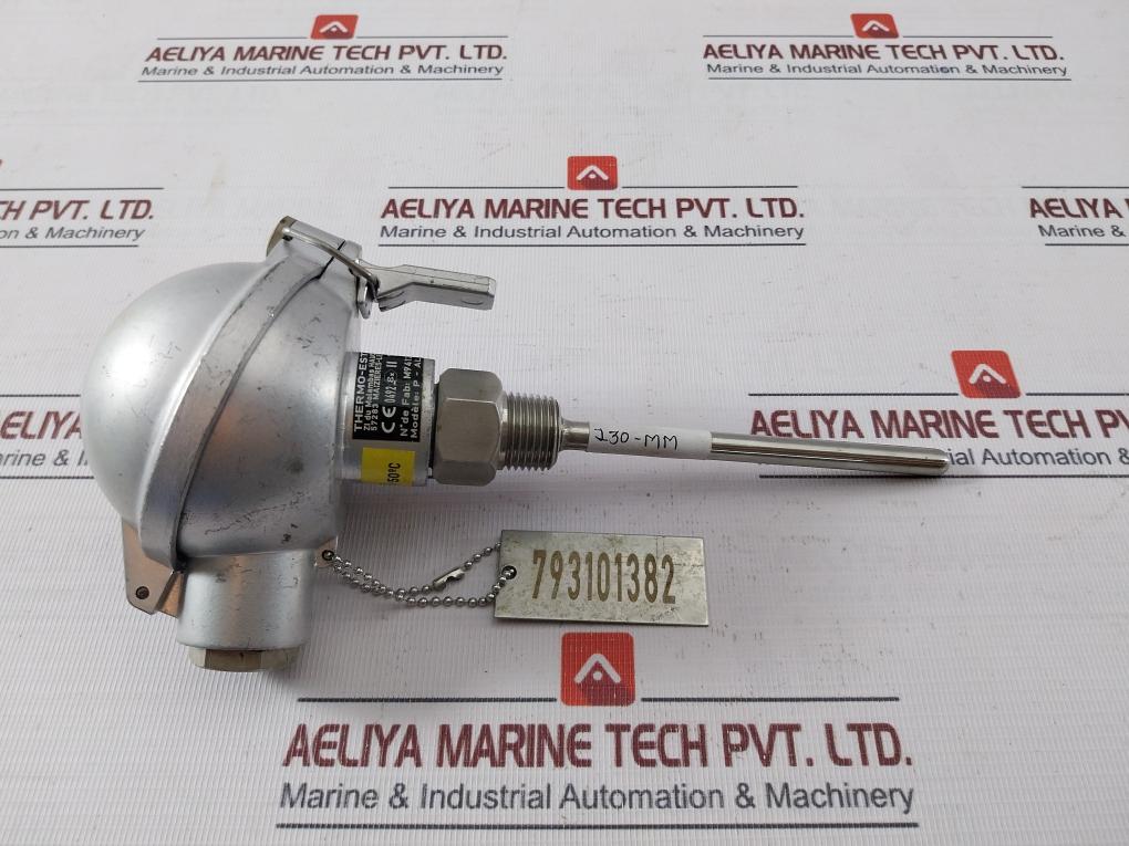 Thermo-est P-al-v-316L-130-s-3 Temperature Sensor 793101382 Pt100 130-mm T60 C