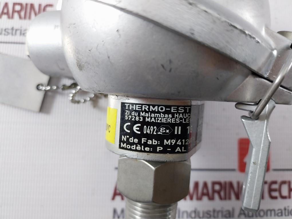 Thermo-est P-al-v-316L-130-s-3 Temperature Sensor 793101382 Pt100 130-mm T60 C