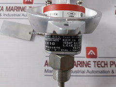 Thermo-est P-al-v-316L-130-s-3 Temperature Sensor 793101382 Pt100 130-mm T60 C