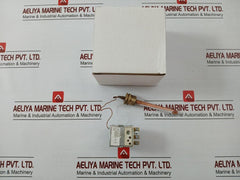 Thermostat With Capillary Tr2 Imit