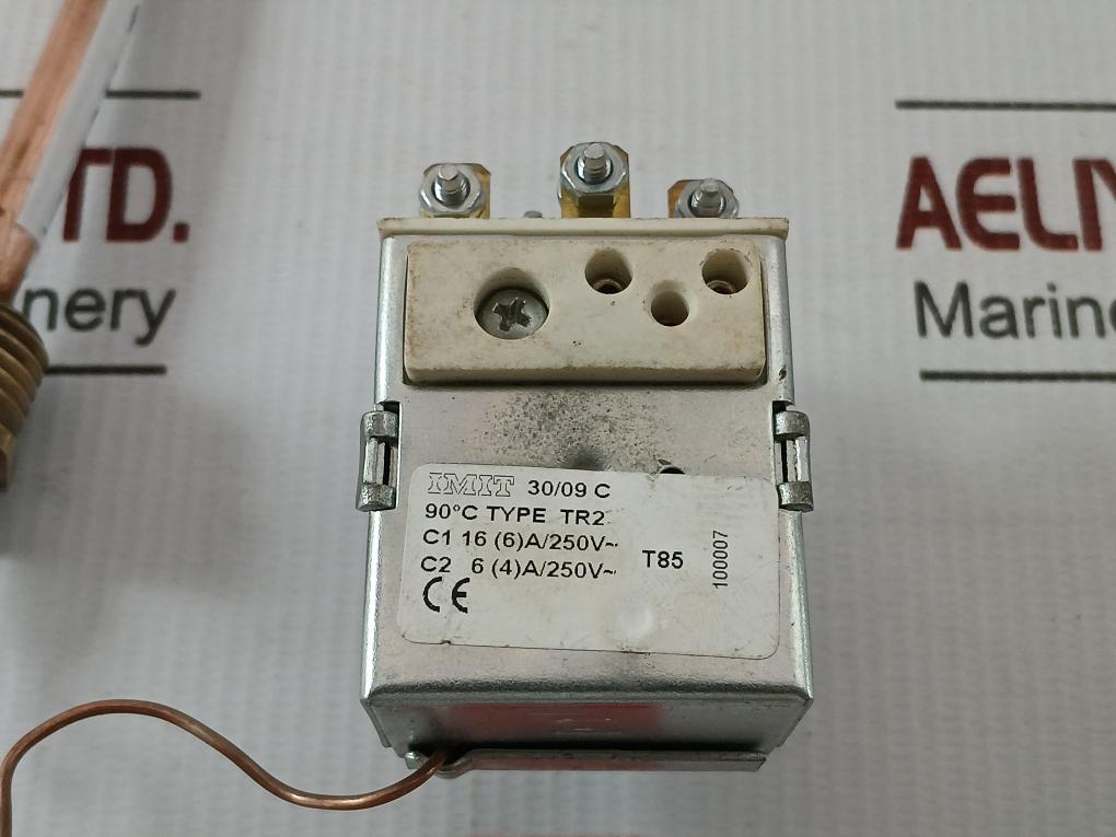 Thermostat With Capillary Tr2 Imit