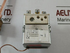 Thermostat With Capillary Tr2 Imit