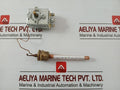 Thermostat With Capillary Tr2 Imit