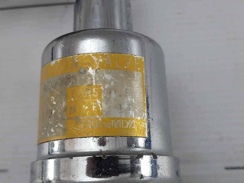 Thermostatic Expansion Valve Aex-2333Bh Saginomiya