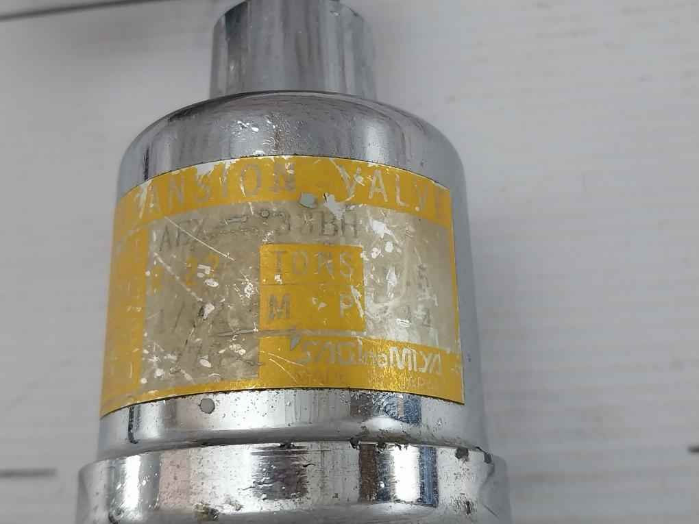 Thermostatic Expansion Valve Aex-2333Bh Saginomiya