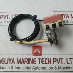 Thermoster Electrical Appliance Wy87-c Heater Thermostat 250V 50/60Hz