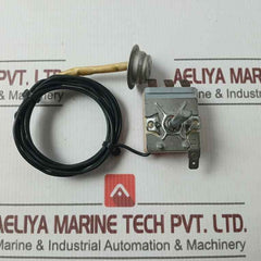 Thermoster Electrical Appliance Wy87-c Heater Thermostat 250V 50/60Hz