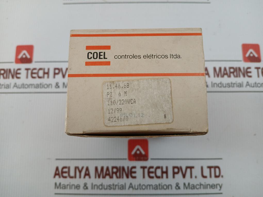 Time Delay Relay 220Vca/220Vac Coel Pz 6 M