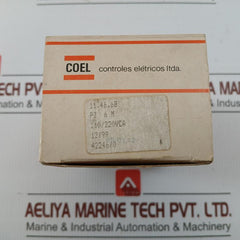 Time Delay Relay 220Vca/220Vac Coel Pz 6 M
