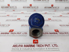 Titan-fci Ys12 A126 Cast Iron Y Strainer Fitting Strainer Valve 400wp