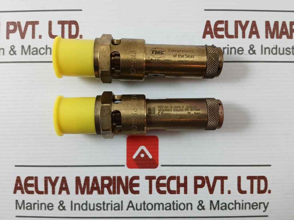 Tmc Tuv-sv.15-2055.11.D/G.0.8 Safety Valve 12-bar