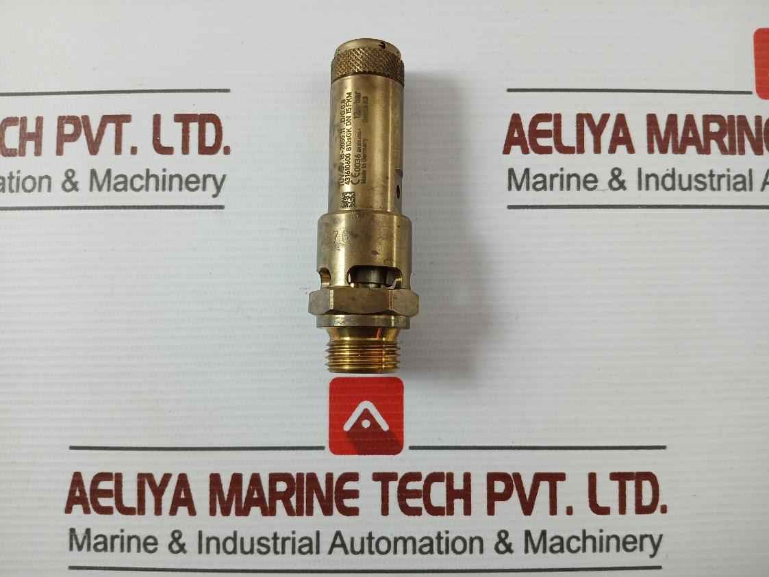Tmc Tuv-sv.15-2055.11.D/G.0.8 Safety Valve 12-bar