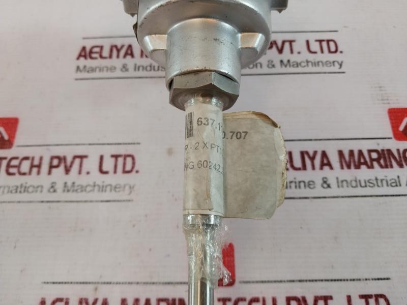 TMH TM021.131 Temperature Sensor 2x PT100 2-Wire K-24037