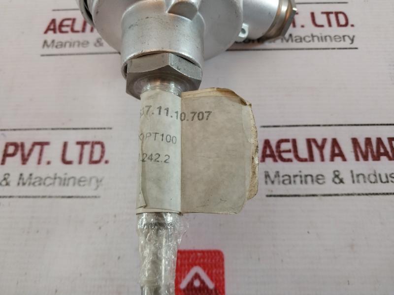 TMH TM021.131 Temperature Sensor 2x PT100 2-Wire K-24037