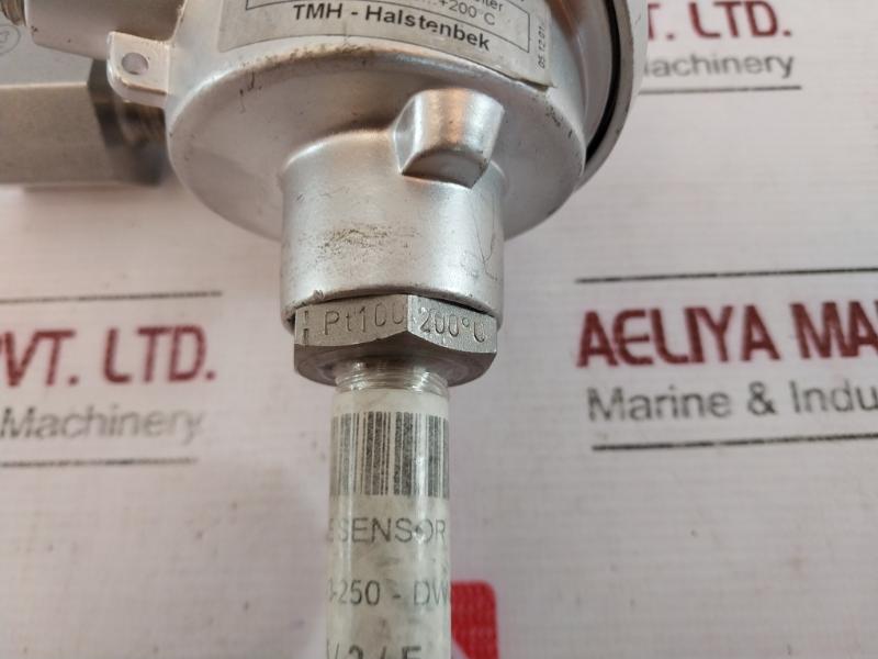 TMH TM021.131 Temperature Sensor 2x PT100 2-Wire K-24037