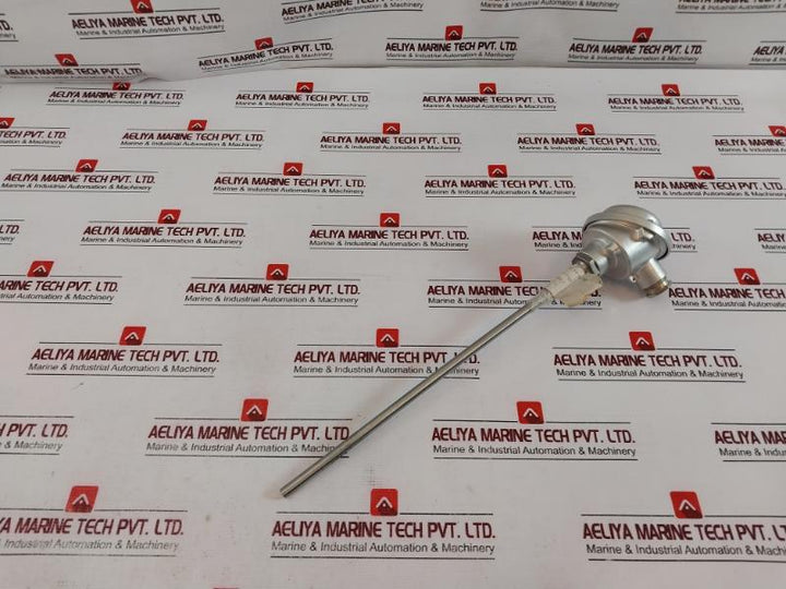 TMH TM021.131 Temperature Sensor 2x PT100 2-Wire K-24037