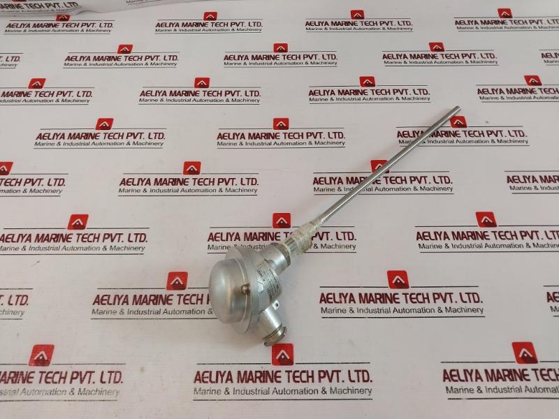 TMH TM021.131 Temperature Sensor 2x PT100 2-Wire K-24037