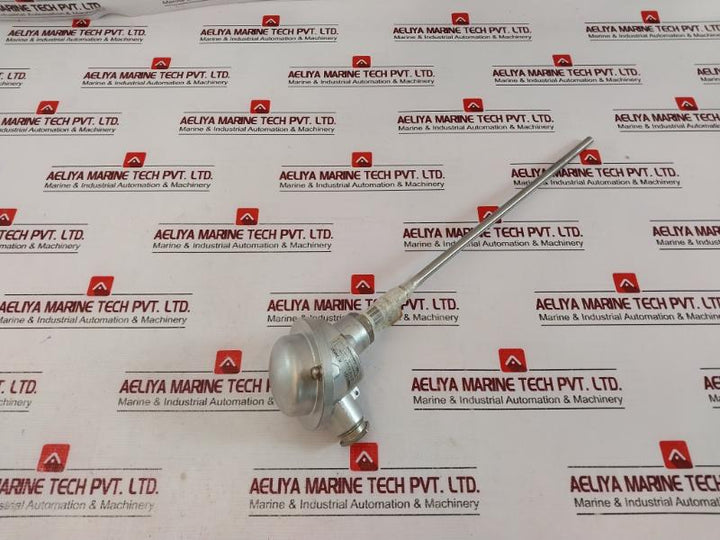 TMH TM021.131 Temperature Sensor 2x PT100 2-Wire K-24037