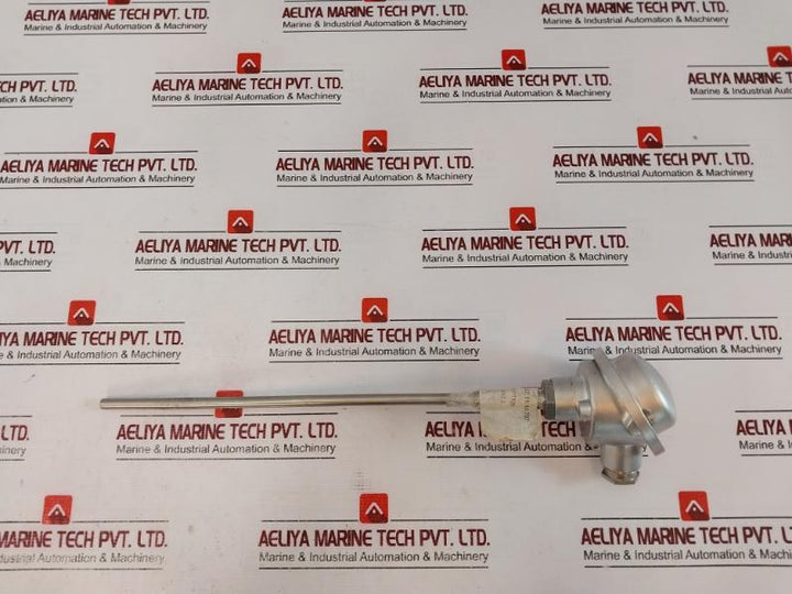 TMH TM021.131 Temperature Sensor 2x PT100 2-Wire K-24037