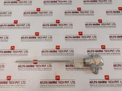 TMH TM021.131 Temperature Sensor 2x PT100 2-Wire K-24037