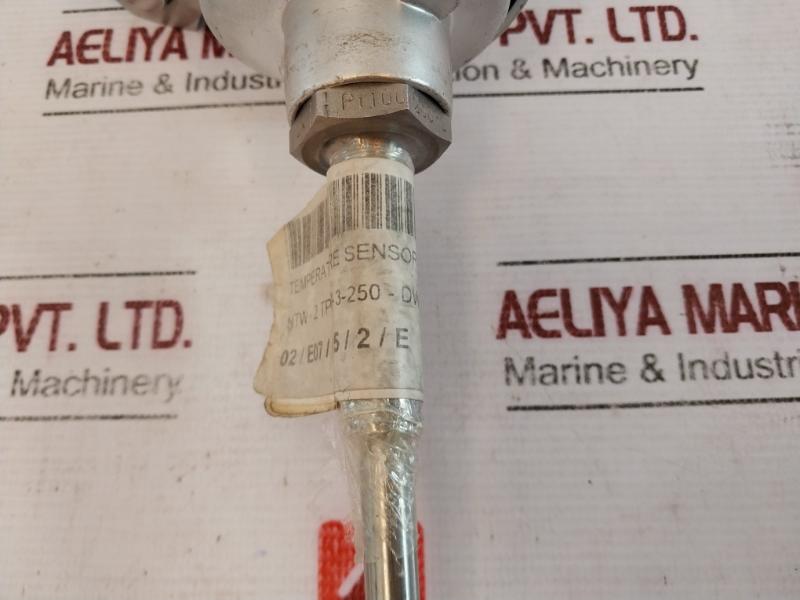 TMH TM021.131 Temperature Sensor 2x PT100 2-Wire K-24037